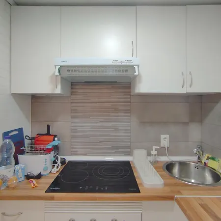 Acogedor Centro אוביידו